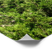 Matthew 11:28 Kom naar me toe iedereen die werkt.. Poster (Hoek)