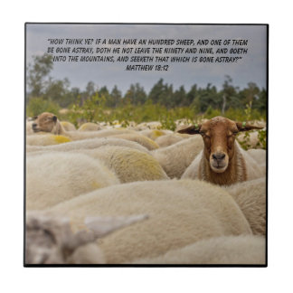 Matthew 18:12 tegeltje