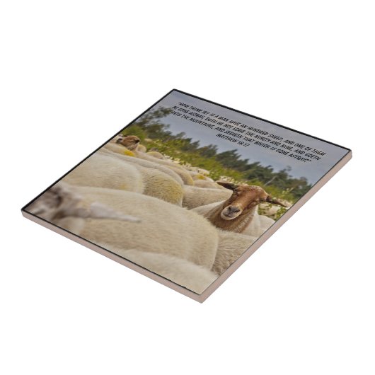 Matthew 18:12 tegeltje (Zijkant)