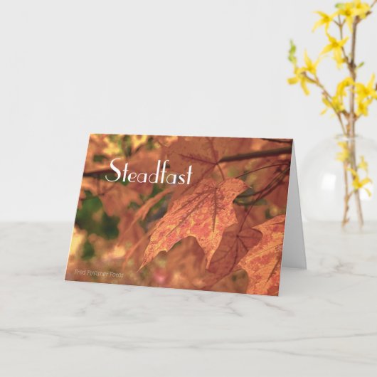 Matthew 24:35 kaart (Gele Bloem)