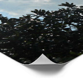 Matthew 25:13 Kijk dus.... Poster (Hoek)