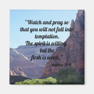 Matthew 26:41 magneet
