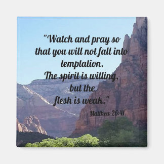 Matthew 26:41 magneet