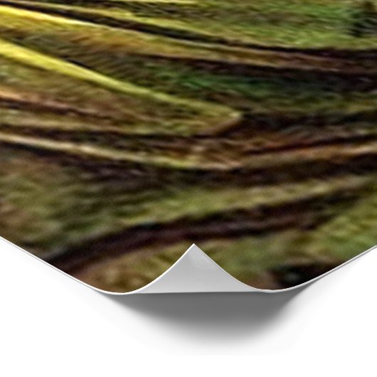 Matthew 28:1-7 hij is hier niet, hij is poster gew (Hoek)