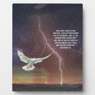 MATTHEW 3:16 FOTOPLAAT