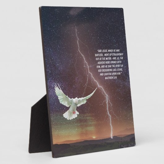 MATTHEW 3:16 FOTOPLAAT (Zijkant)