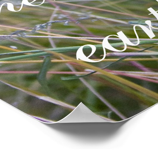 Matthew 5:5 "gezegend zijn de meek" poster (Hoek)