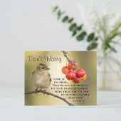 Matthew 6:26 Bijbelversie, maak je geen zorgen Briefkaart (Staand voorkant)