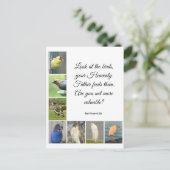 Matthew 6:26 Briefkaart (Staand voorkant)