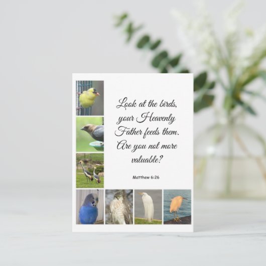 Matthew 6:26 Briefkaart (Staand voorkant)