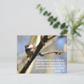 Matthew 6:26 de Manuscript van Vogels Briefkaart (Staand voorkant)