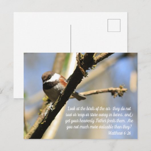Matthew 6:26 de Manuscript van Vogels Briefkaart (Voorkant / Achterkant)
