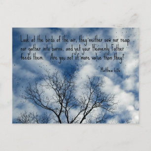 Matthew 6:26 Kijk naar de vogels van de lucht... Briefkaart