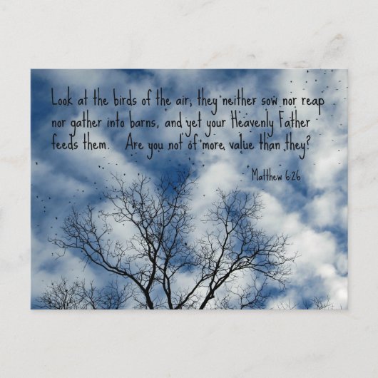 Matthew 6:26 Kijk naar de vogels van de lucht... Briefkaart (Voorkant)