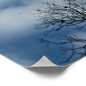 Matthew 6:26 Kijk naar de vogels van de lucht... Poster (Hoek)