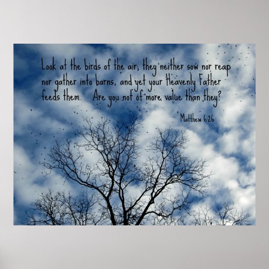 Matthew 6:26 Kijk naar de vogels van de lucht... Poster (Voorkant)