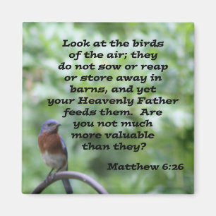 Matthew 6:26 magneet