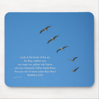 Matthew 6:26 muismat