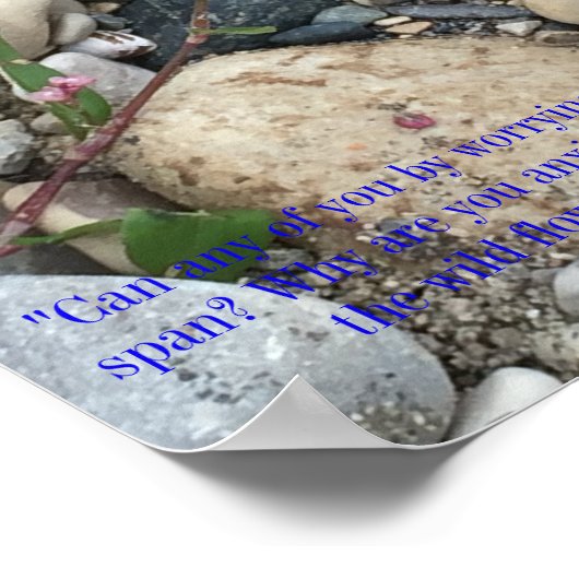 Matthew 6:27-28 Poster (Hoek)