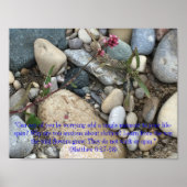 Matthew 6:27-28 Poster (Voorkant)