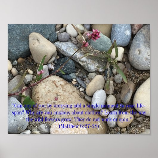 Matthew 6:27-28 Poster (Voorkant)