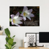 Matthew 6:28 & 29 het Poster van de Manuscript (Thuiskantoor)