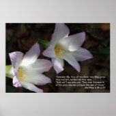 Matthew 6:28 & 29 het Poster van de Manuscript (Voorkant)