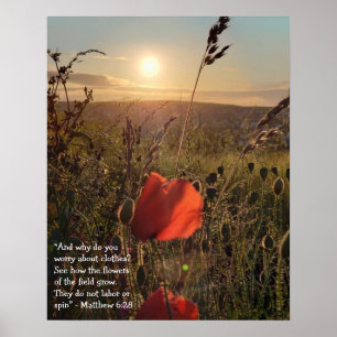 Matthew 6:28 Poppies bij zonsondergang Poster