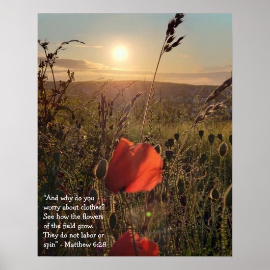 Matthew 6:28 Poppies bij zonsondergang Poster (Voorkant)