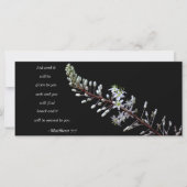 Matthew 7:7 (Voorkant)