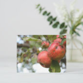 Matthew 7:7-8 Apple Briefkaart (Staand voorkant)