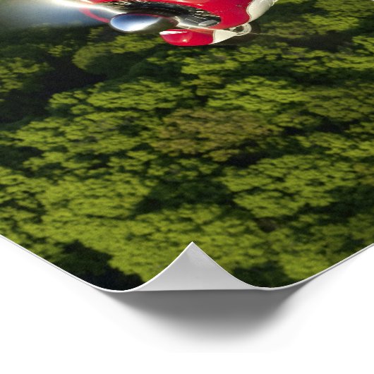 Matthew is 450 poster (Hoek)