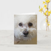 Mattie - Bichon Frise NoteCard Kaart (Gele Bloem)