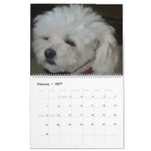Mattie en vrienden kalender (Feb 2027)