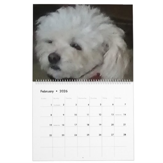 Mattie en vrienden kalender (Feb 2026)