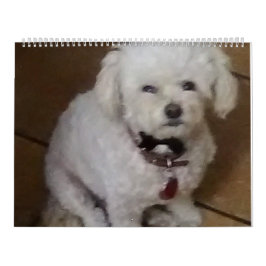 Mattie en vrienden kalender