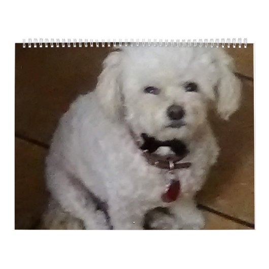 Mattie en vrienden kalender (Hoes)