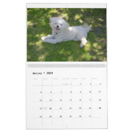 Mattie en vrienden kalender