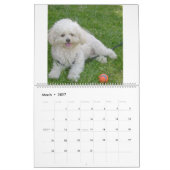 Mattie en vrienden kalender (Mar 2027)