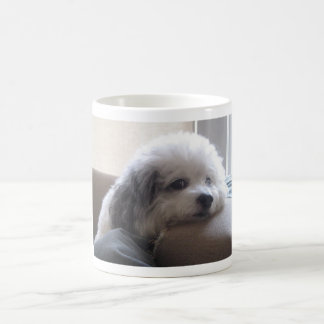 Mattie Koffiemok