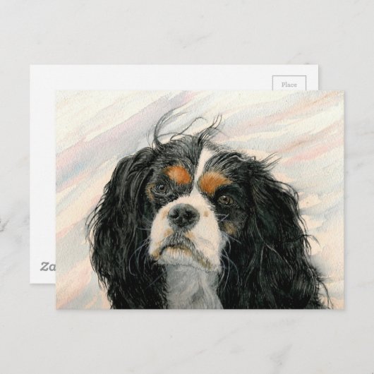 Mattie the King Charles Cavalier Spaniel Briefkaart (Voorkant / Achterkant)