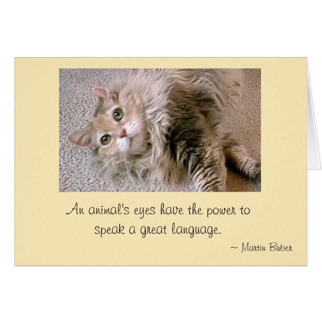 Mattie's Eyes (Voorkant Horizontaal)