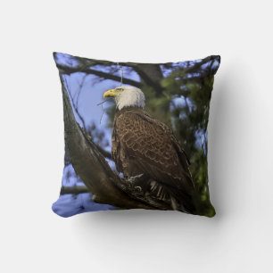 Mature Bald Eagle (2 Pics) Kussen