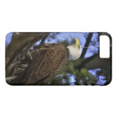 Mature Bald Eagle Case-Mate iPhone Case (Achterkant (Horizontaal))