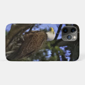 Mature Bald Eagle Case-Mate iPhone Case (Achterkant (horizontaal))