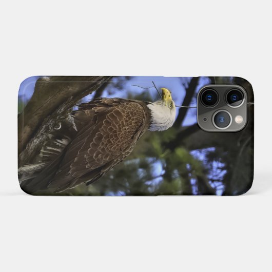 Mature Bald Eagle Case-Mate iPhone Case (Achterkant (horizontaal))
