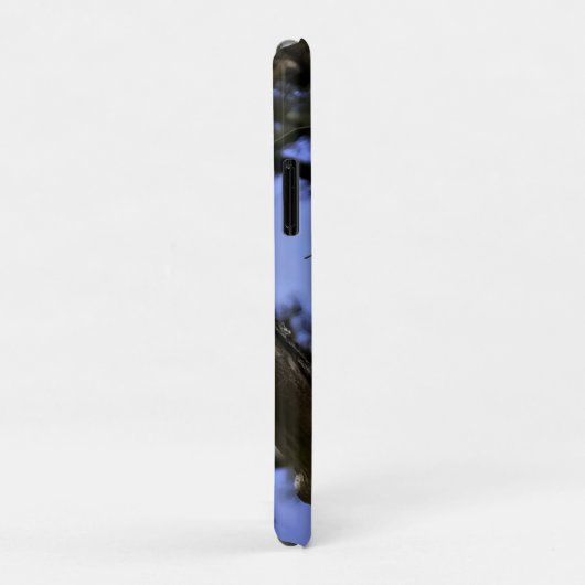 Mature Bald Eagle Case-Mate iPhone Case (Achterkant/rechts)