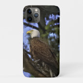 Mature Bald Eagle Case-Mate iPhone Case (Achterkant)