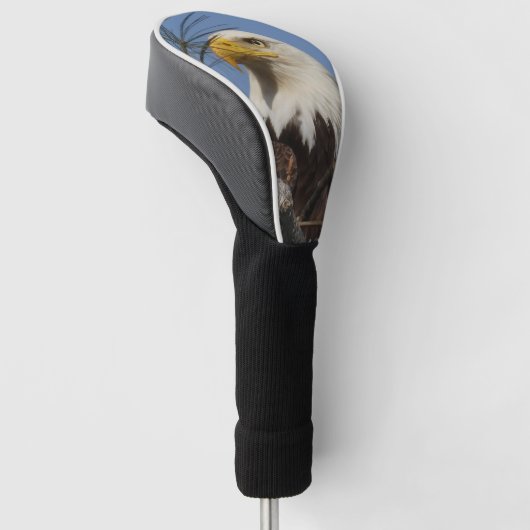 Mature Bald Eagle Close Up Head Golfheadcover (Schuin)