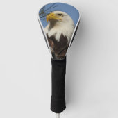 Mature Bald Eagle Close Up Head Golfheadcover (Voorkant)